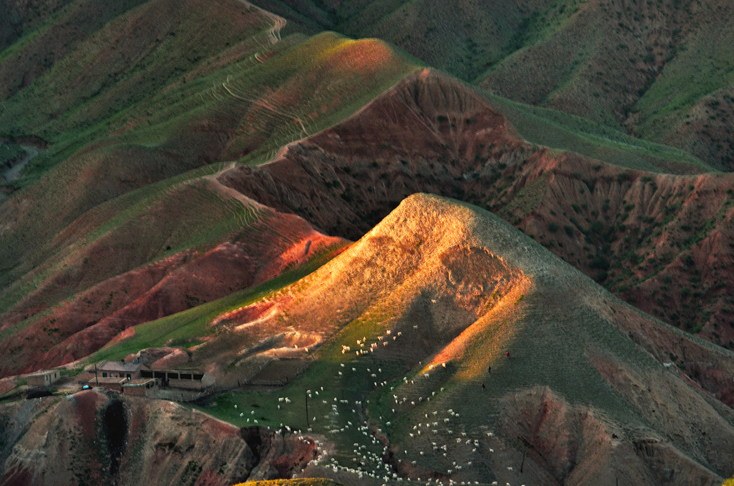 ����   ������