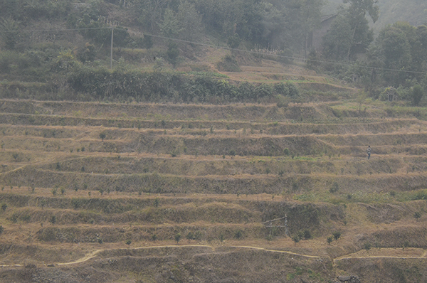 ���� 2014��10��18��a 02912.jpg