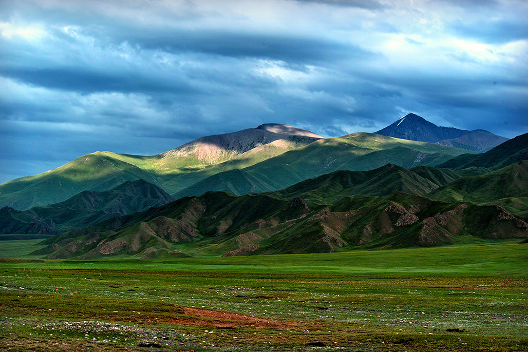 ��Ӱ   ������