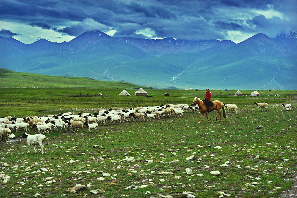 ����   ������