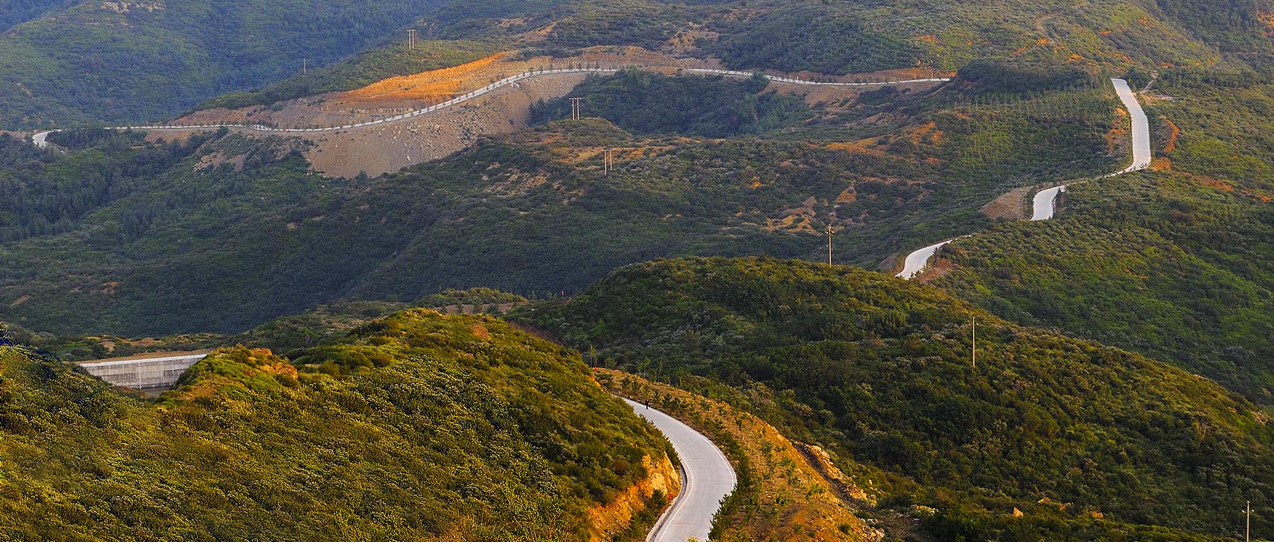 ����ѧͽ����