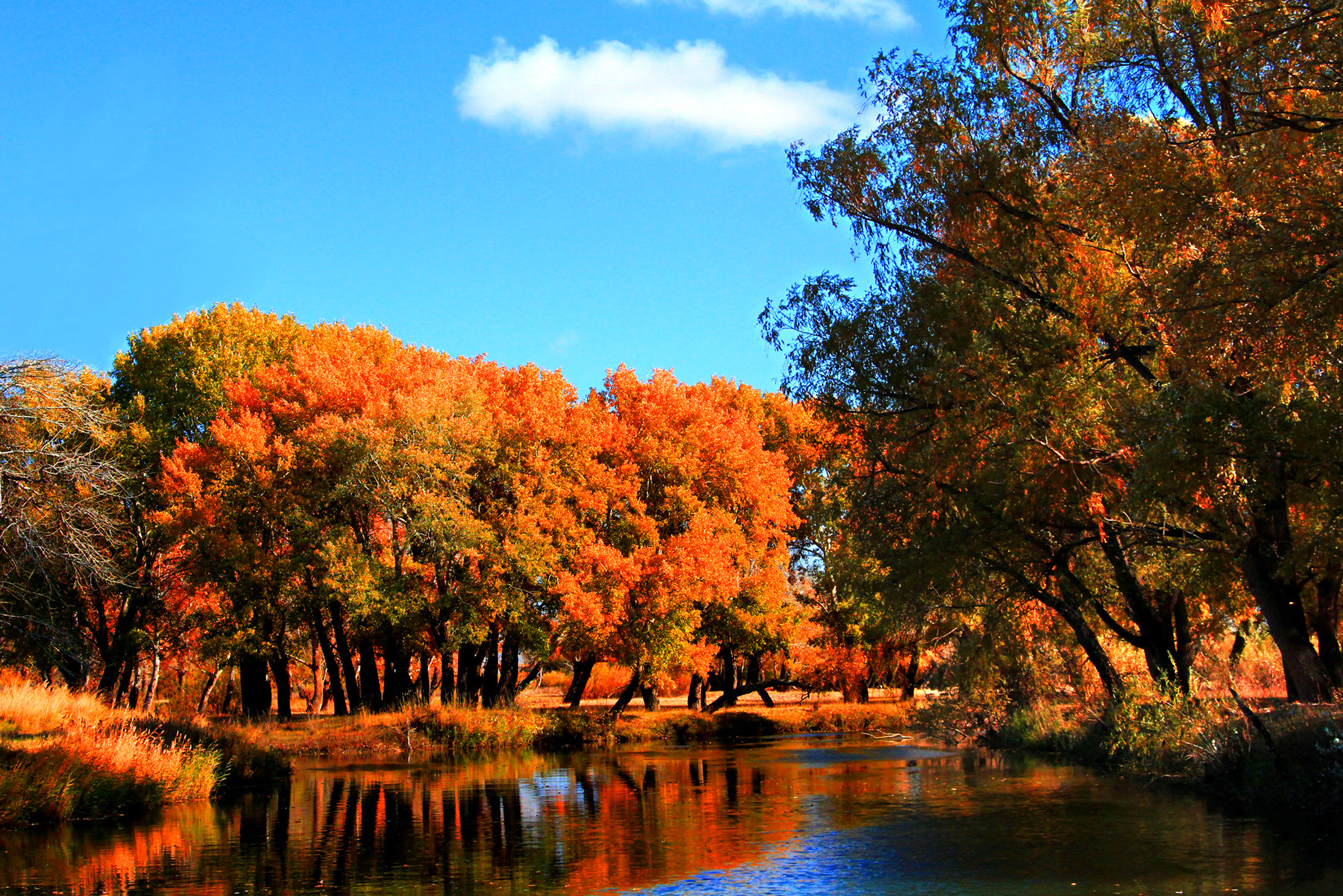 �������ʣ����� (05).jpg