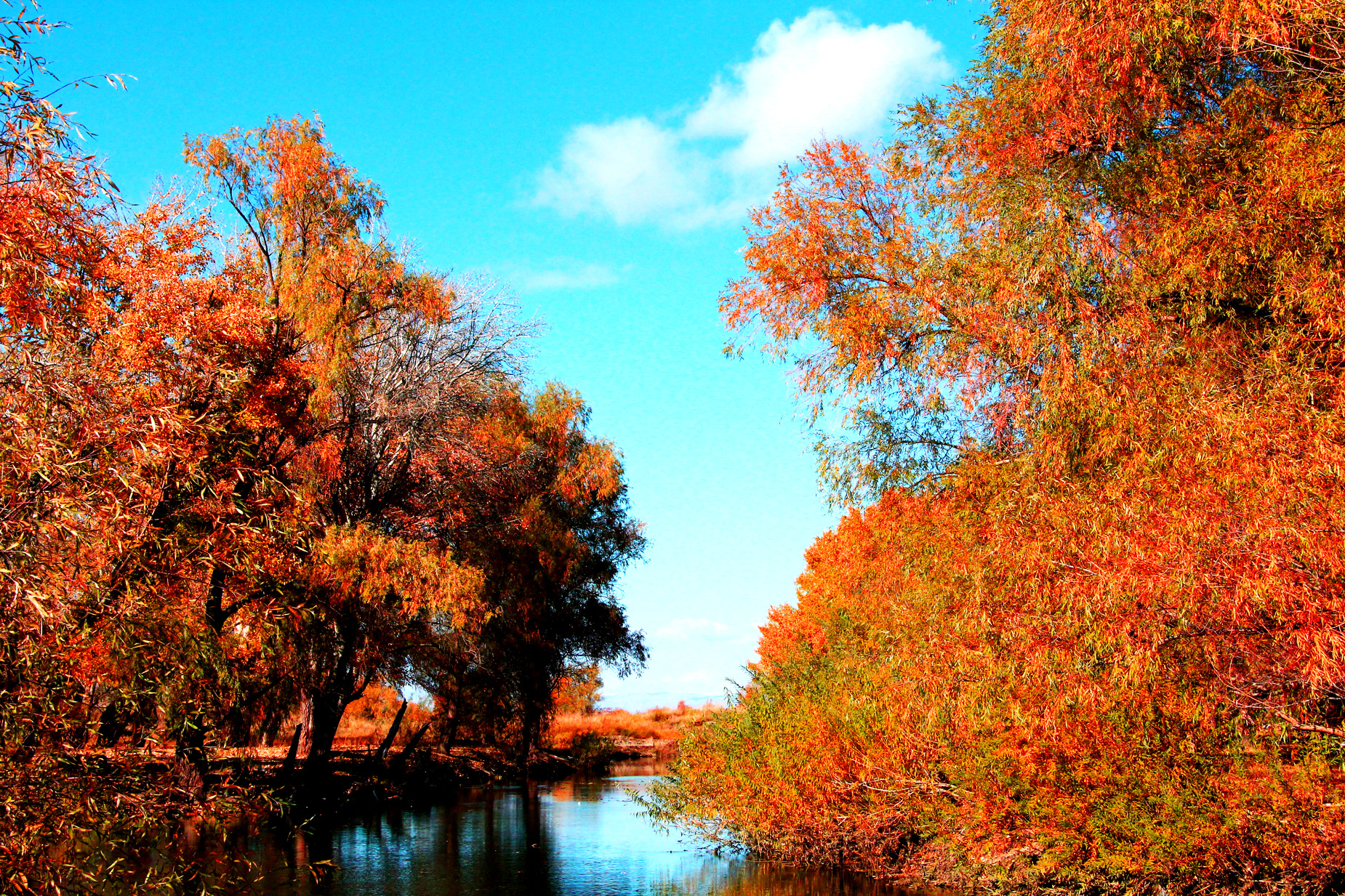 �������ʣ����� (07).jpg