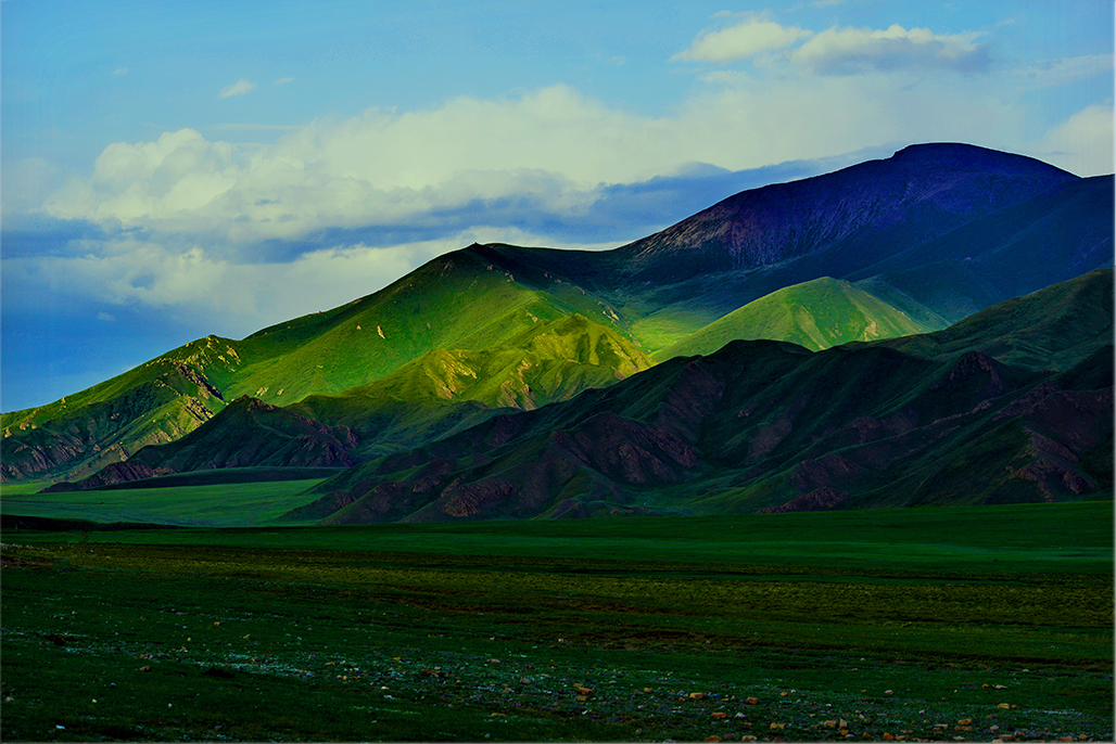 ���   ������