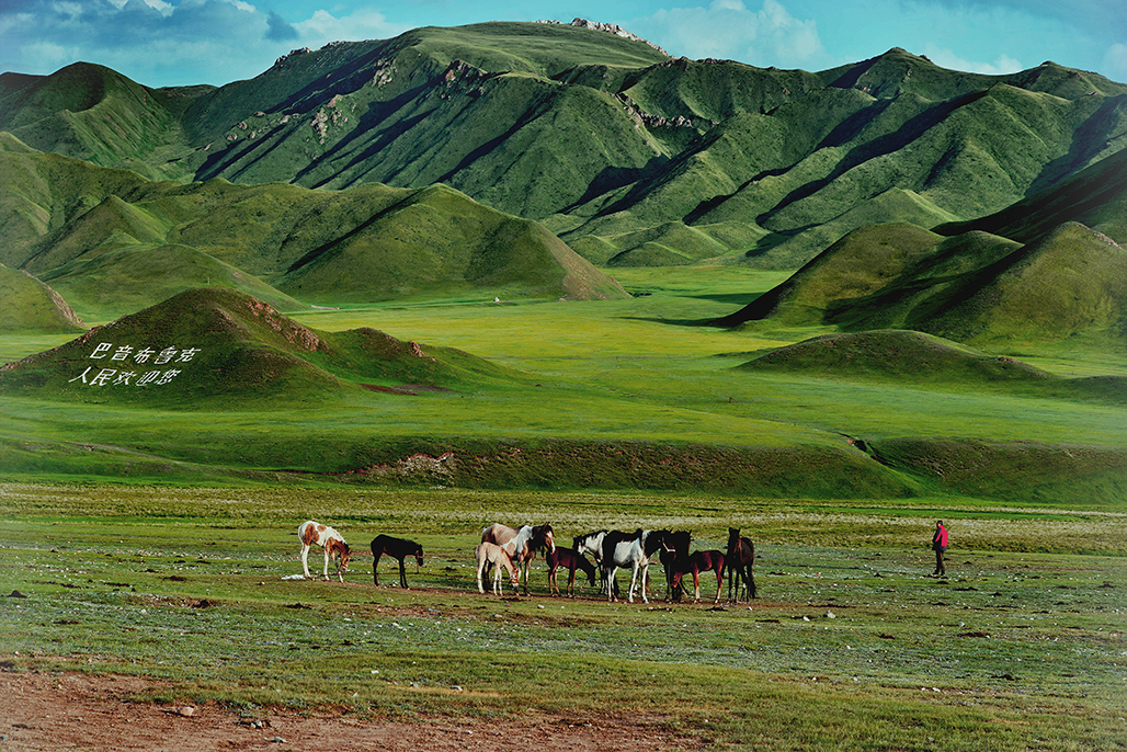 ������   ������