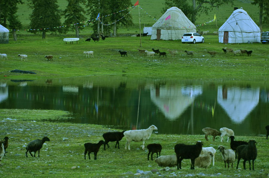 �Ƕ��곿�صĳ���