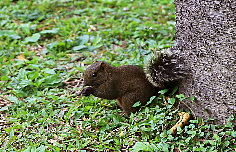 ���� gg 392qw.jpg