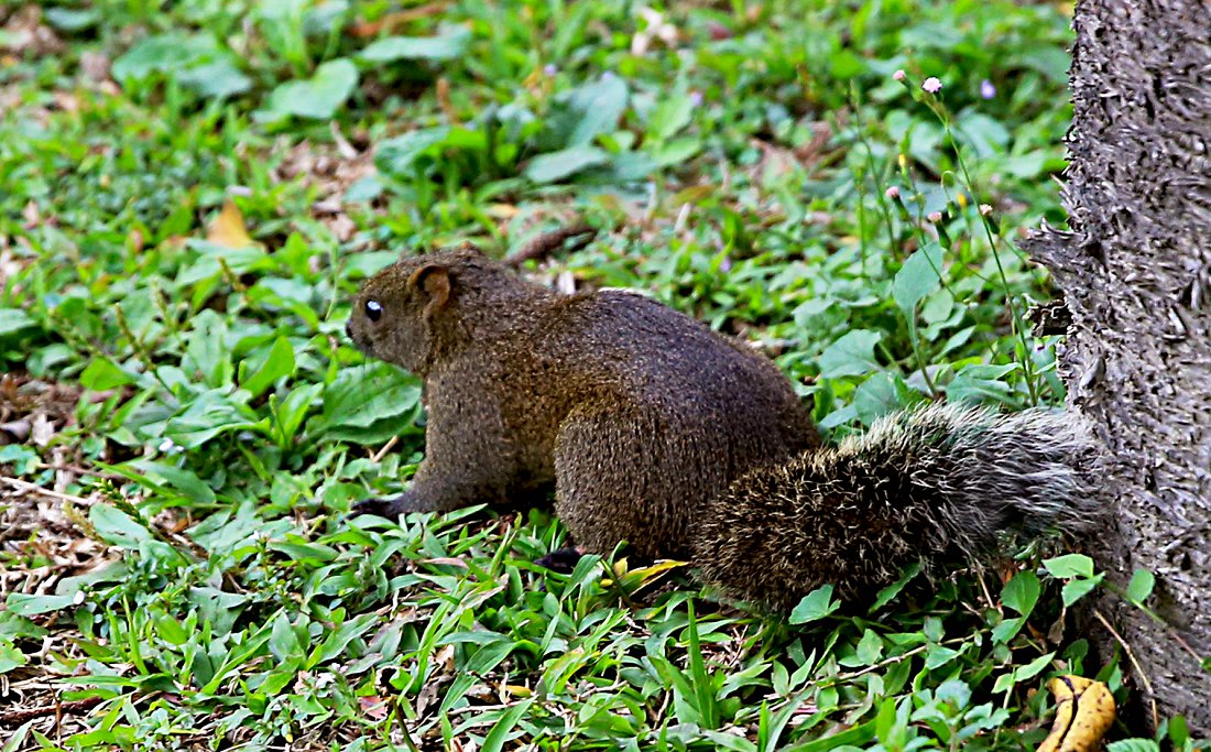 ���� gg 393qw.jpg