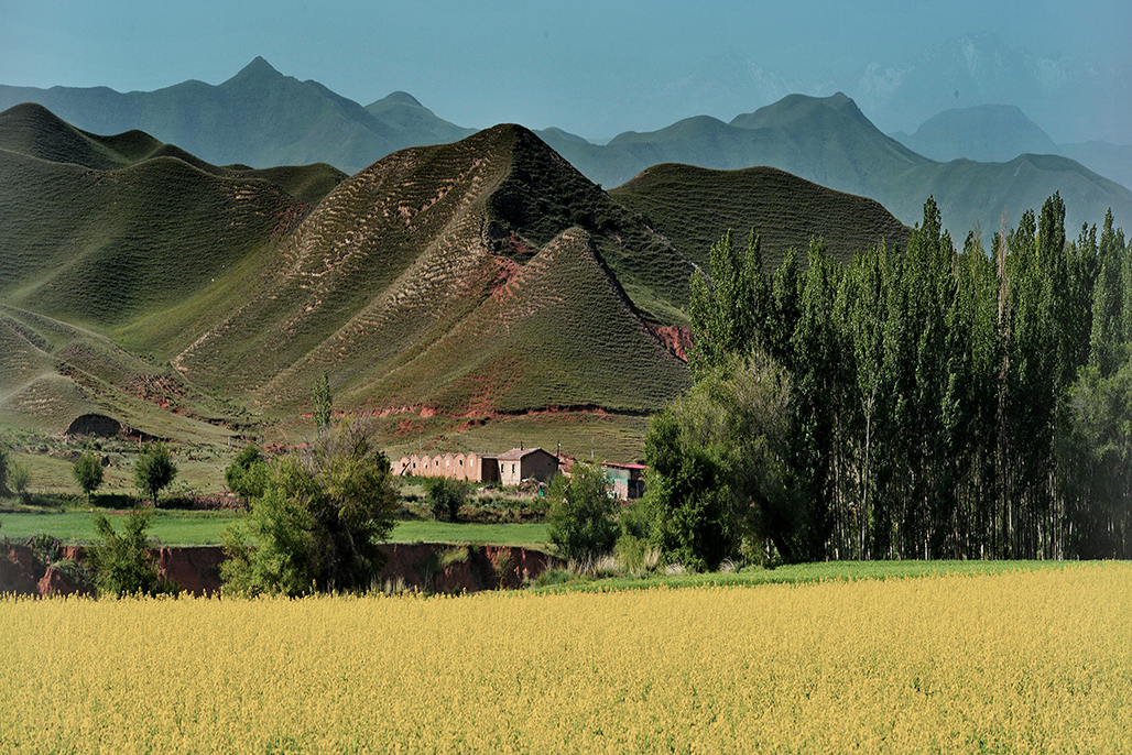 ��   ������