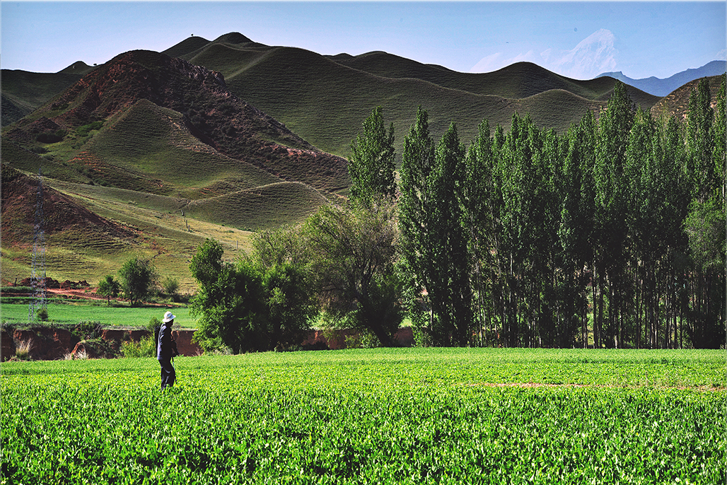 ����   ������