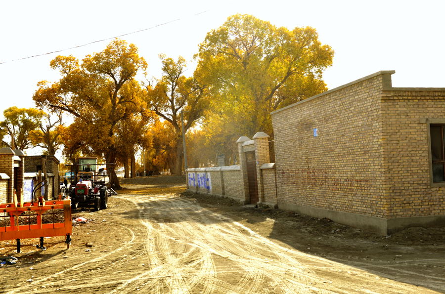 ���Ϻ����Եı�������