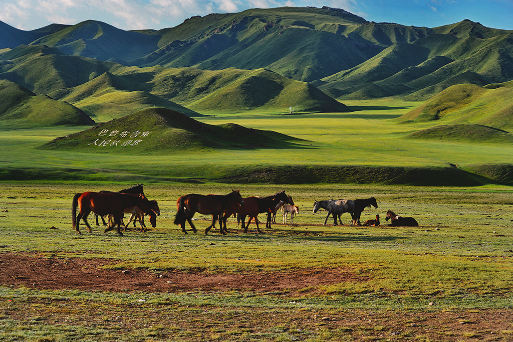 ��   ������