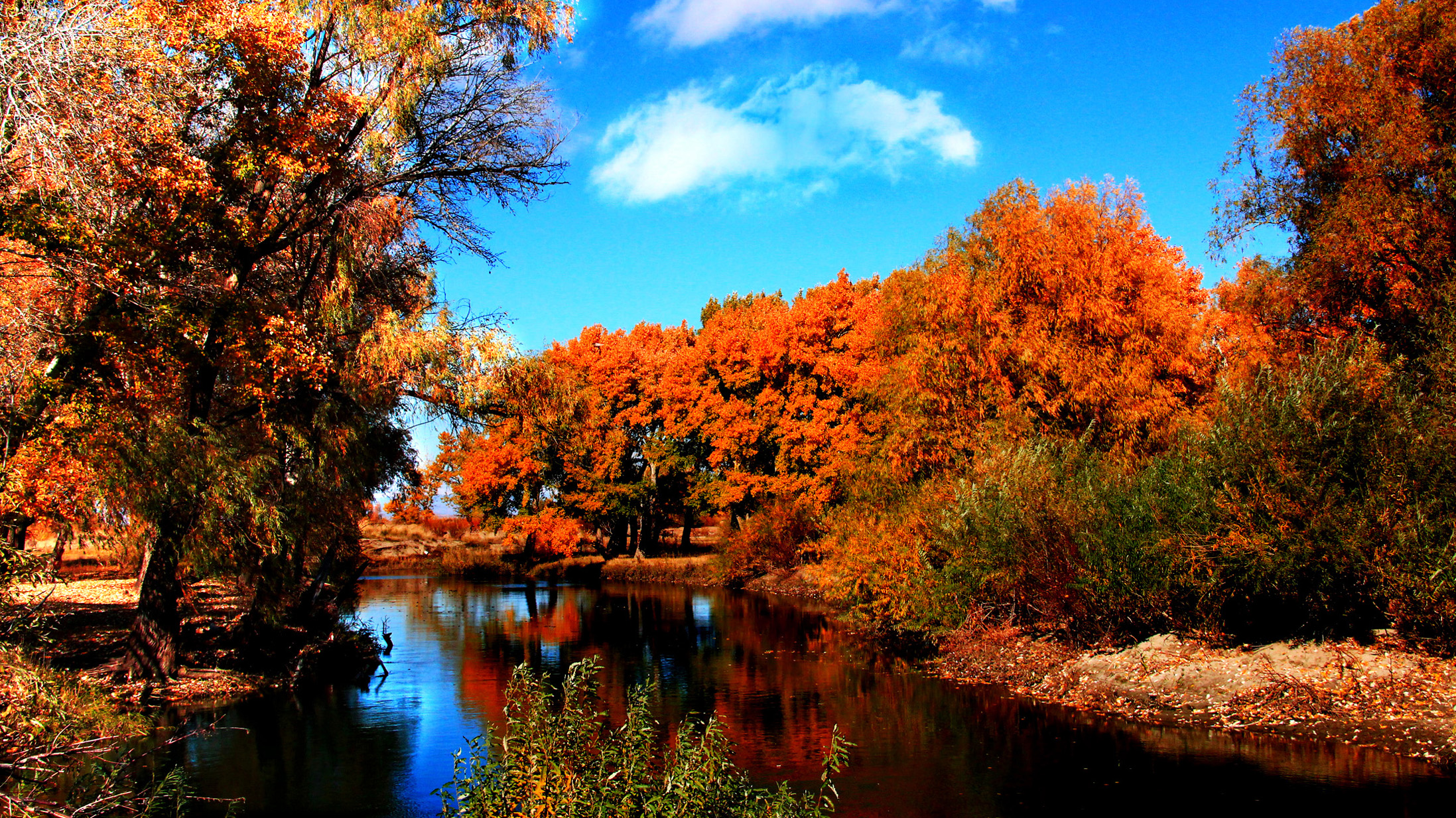 �������ʣ����� (10).jpg