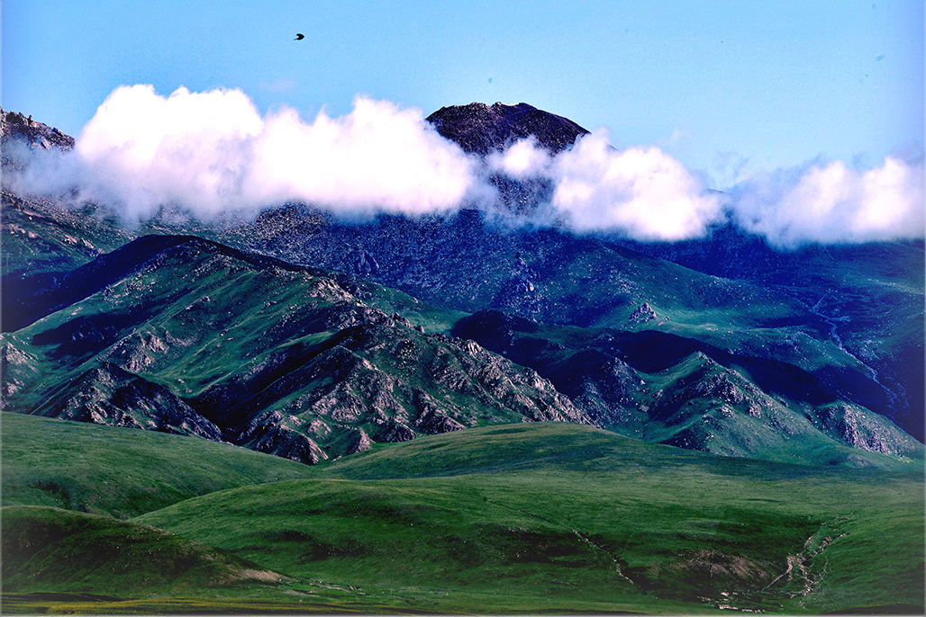 ӥ������   ������