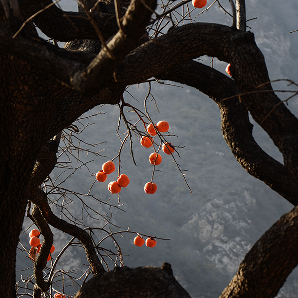 2014��11��9��a 13812.jpg