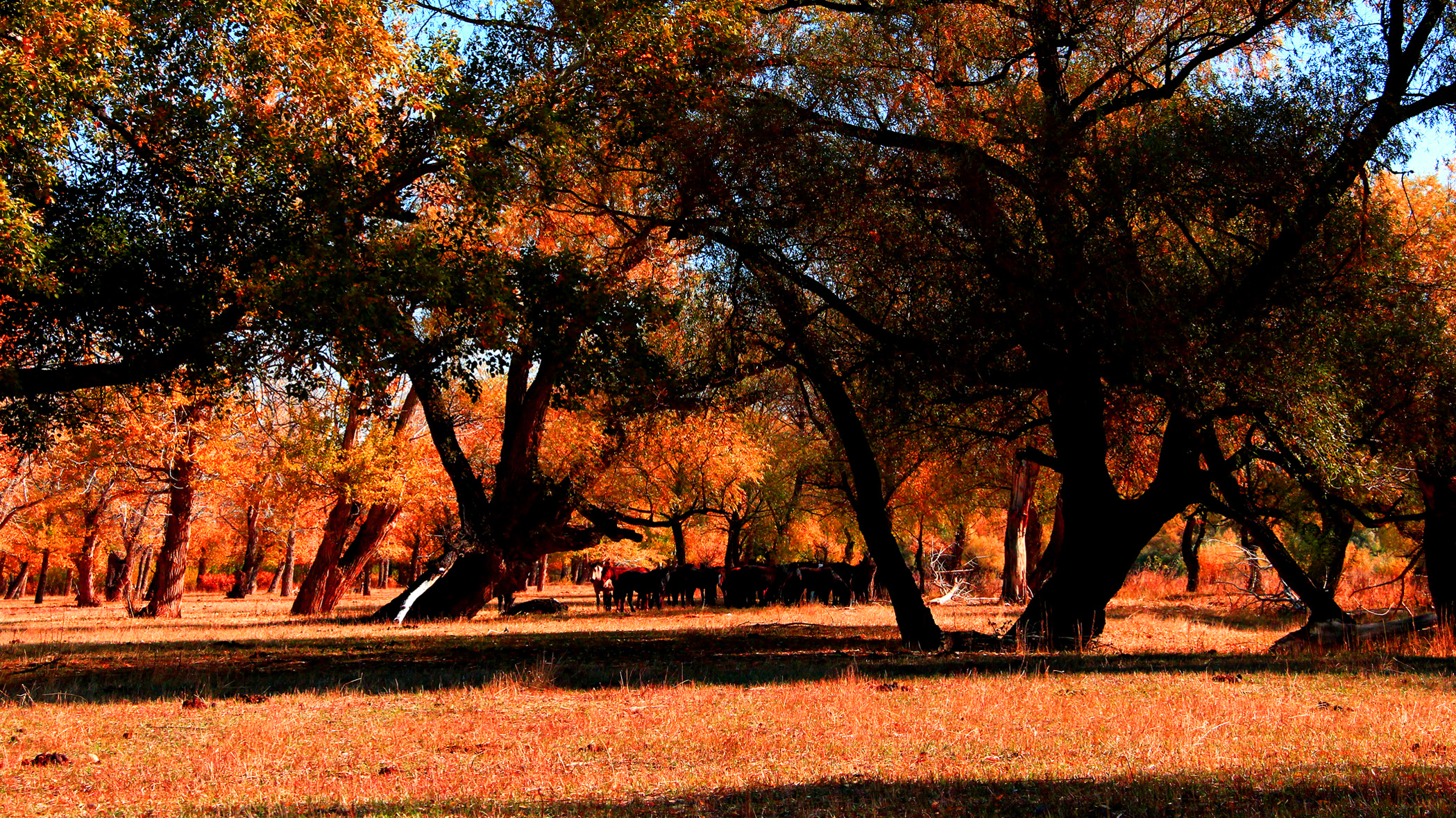 �������ʣ��ģ� (11).jpg