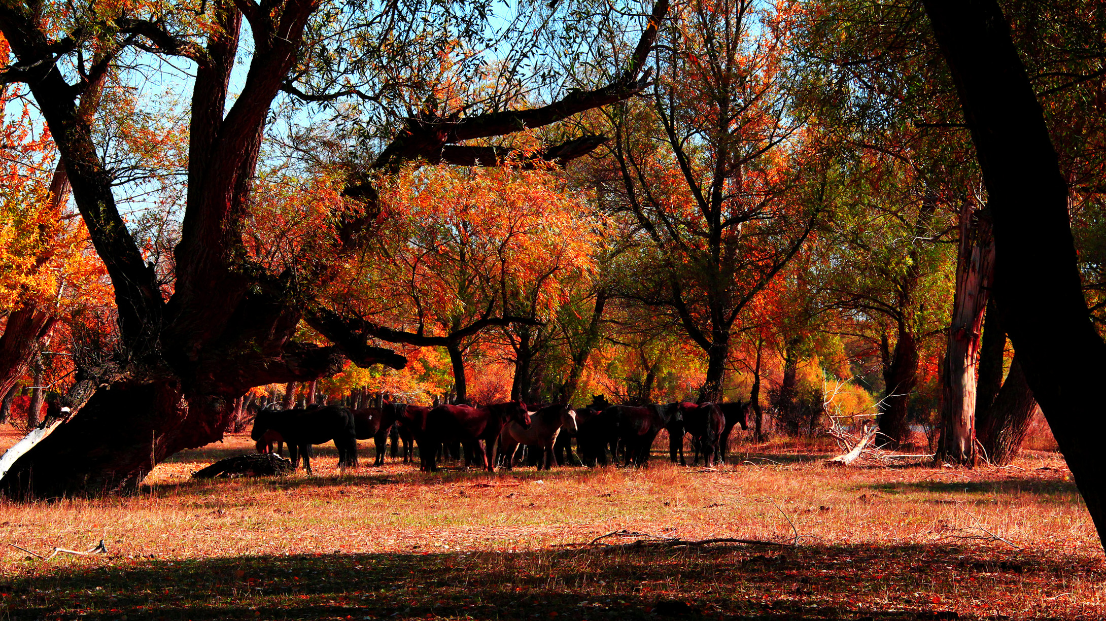 �������ʣ��ģ� (12).jpg