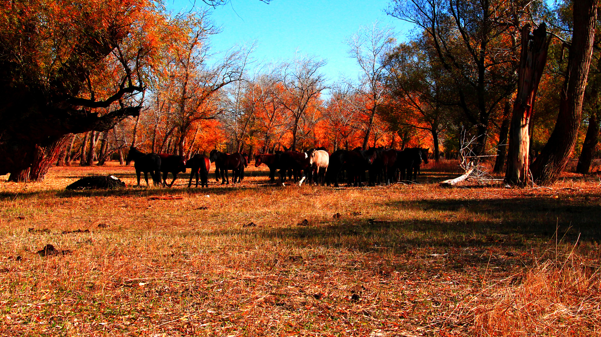 �������ʣ��ģ� (13).jpg