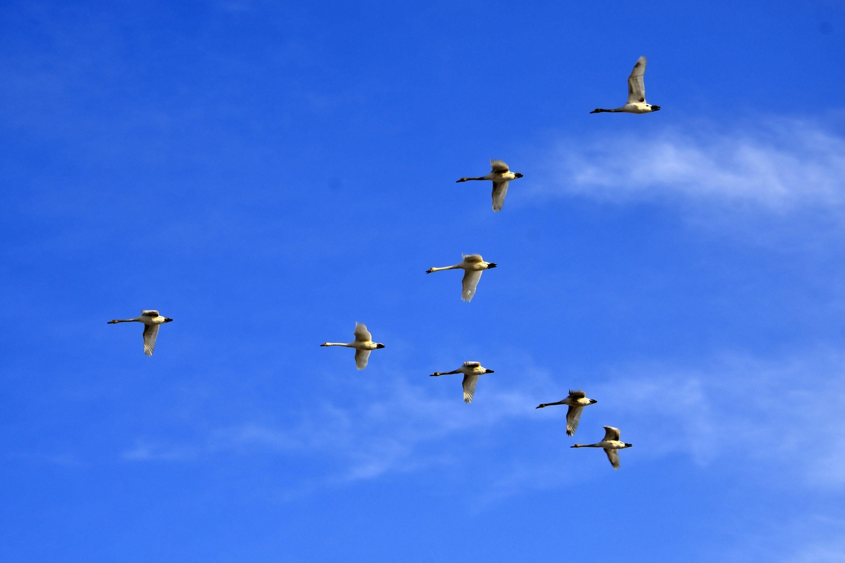 nEO_IMG__DSC8645 (2).jpg