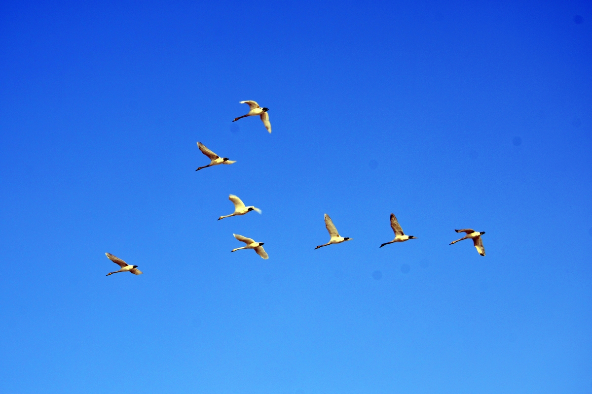 nEO_IMG__DSC8647 (2).jpg