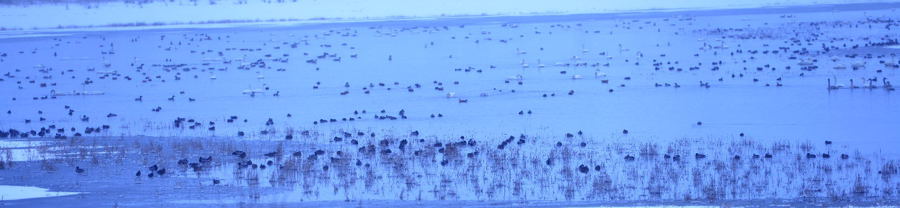 �����԰��������