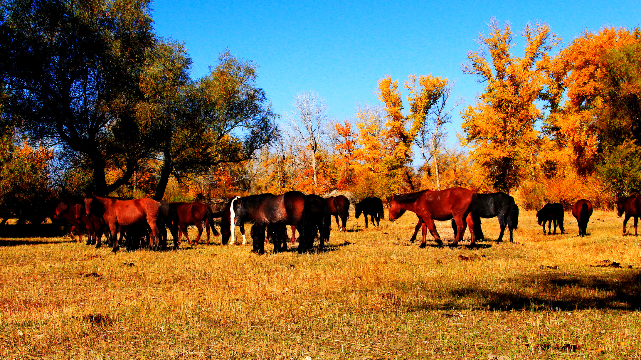 �������ʣ��壩 (15).jpg