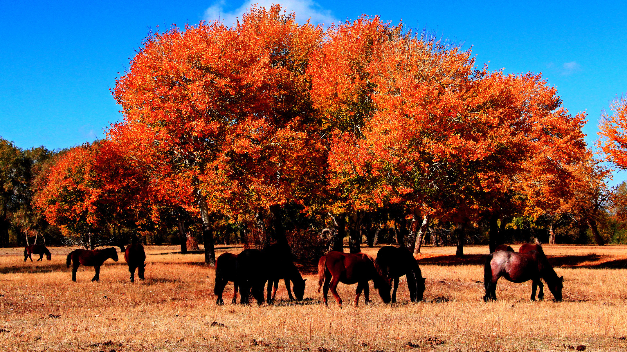 �������ʣ��壩 (16).jpg