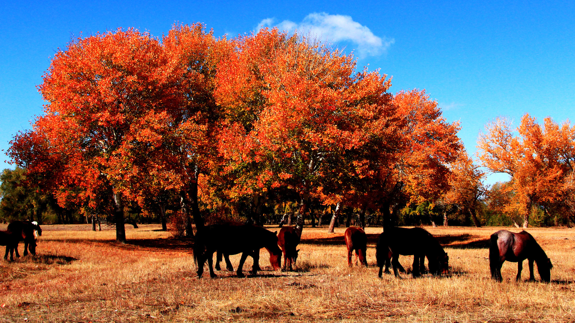 �������ʣ��壩 (17).jpg