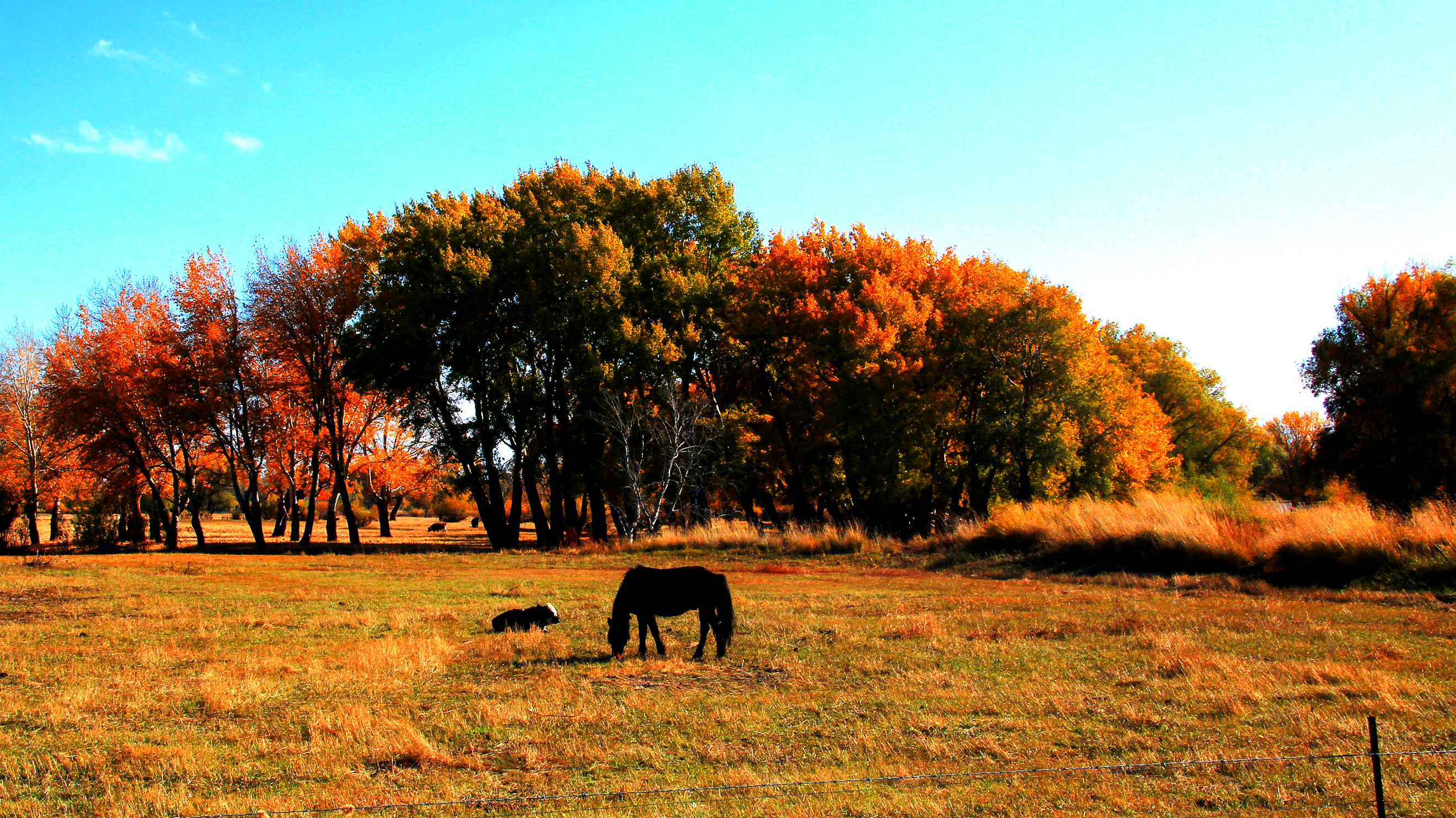 �������ʣ��壩 (18).jpg