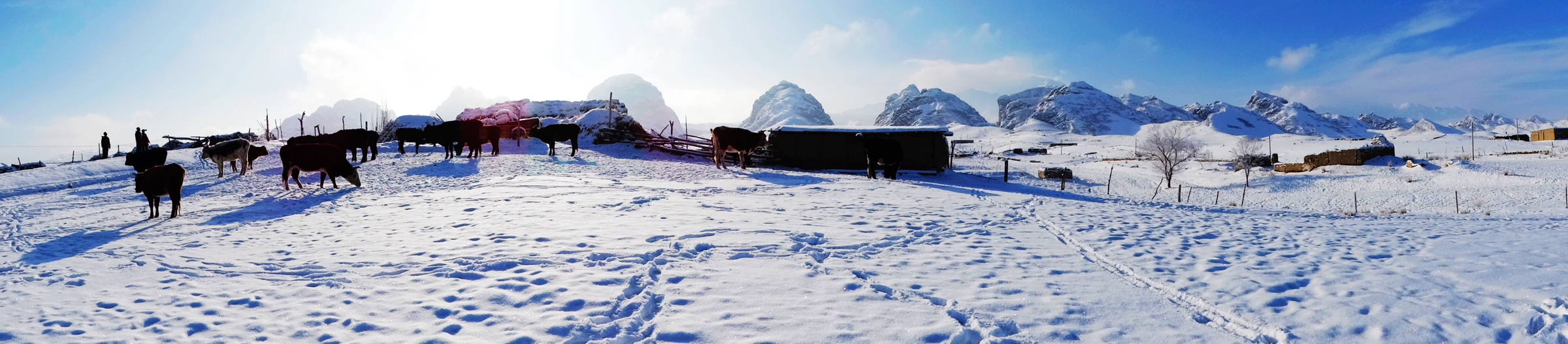 nEO_IMG_������̤ѩ�ɷ� (4).jpg