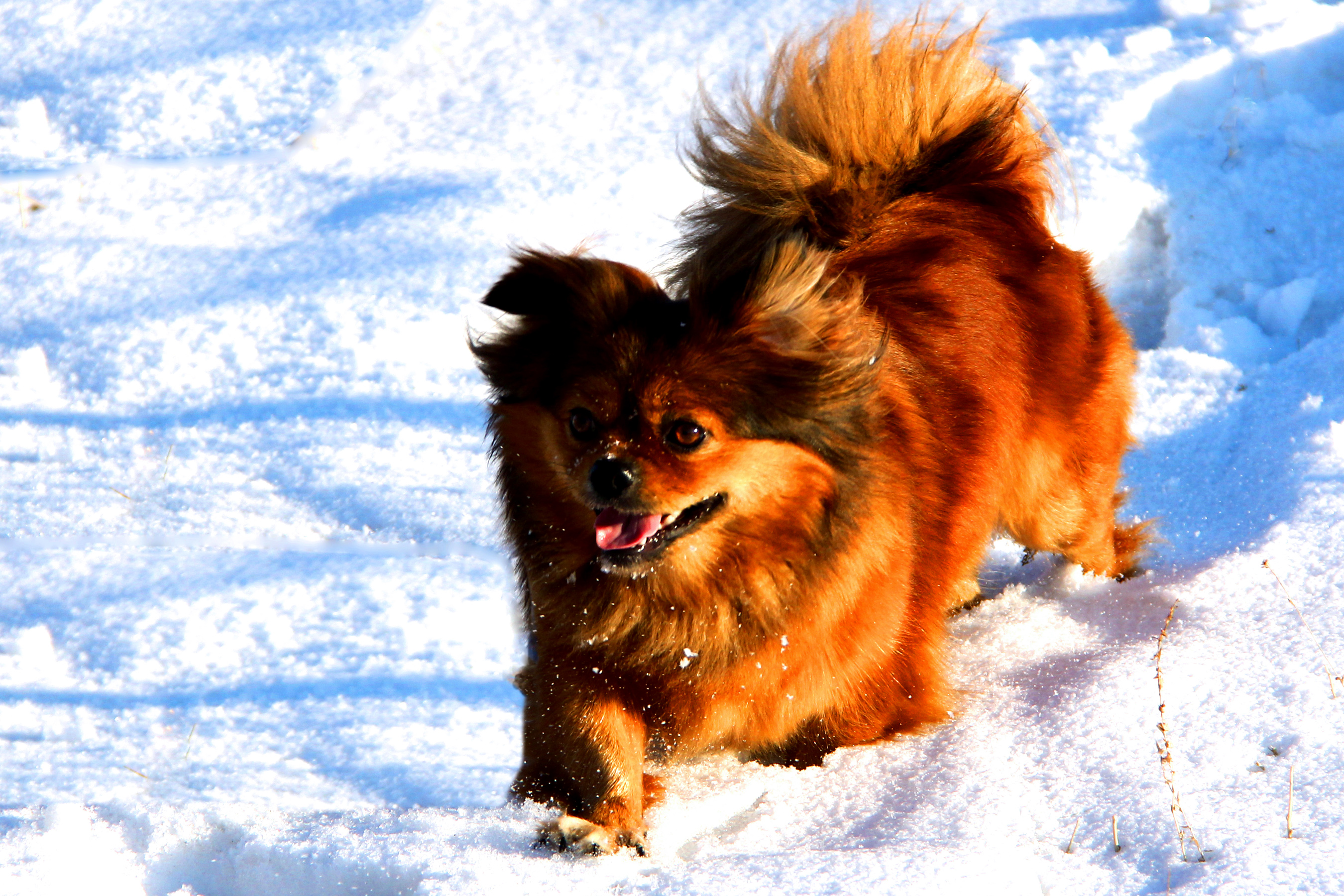 ѩ�����⣨һ��  (01).jpg