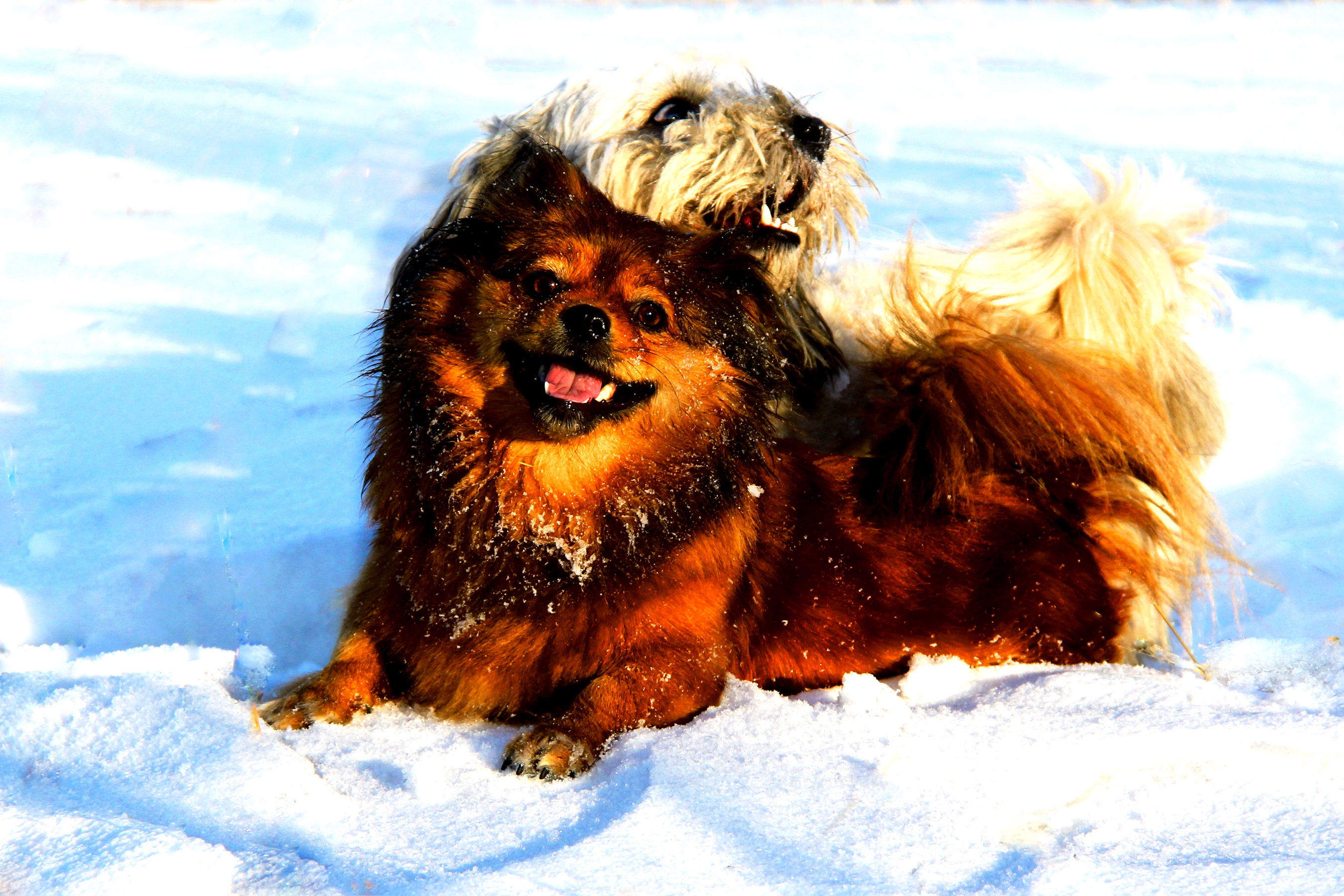 ѩ�����⣨һ��  (02).jpg