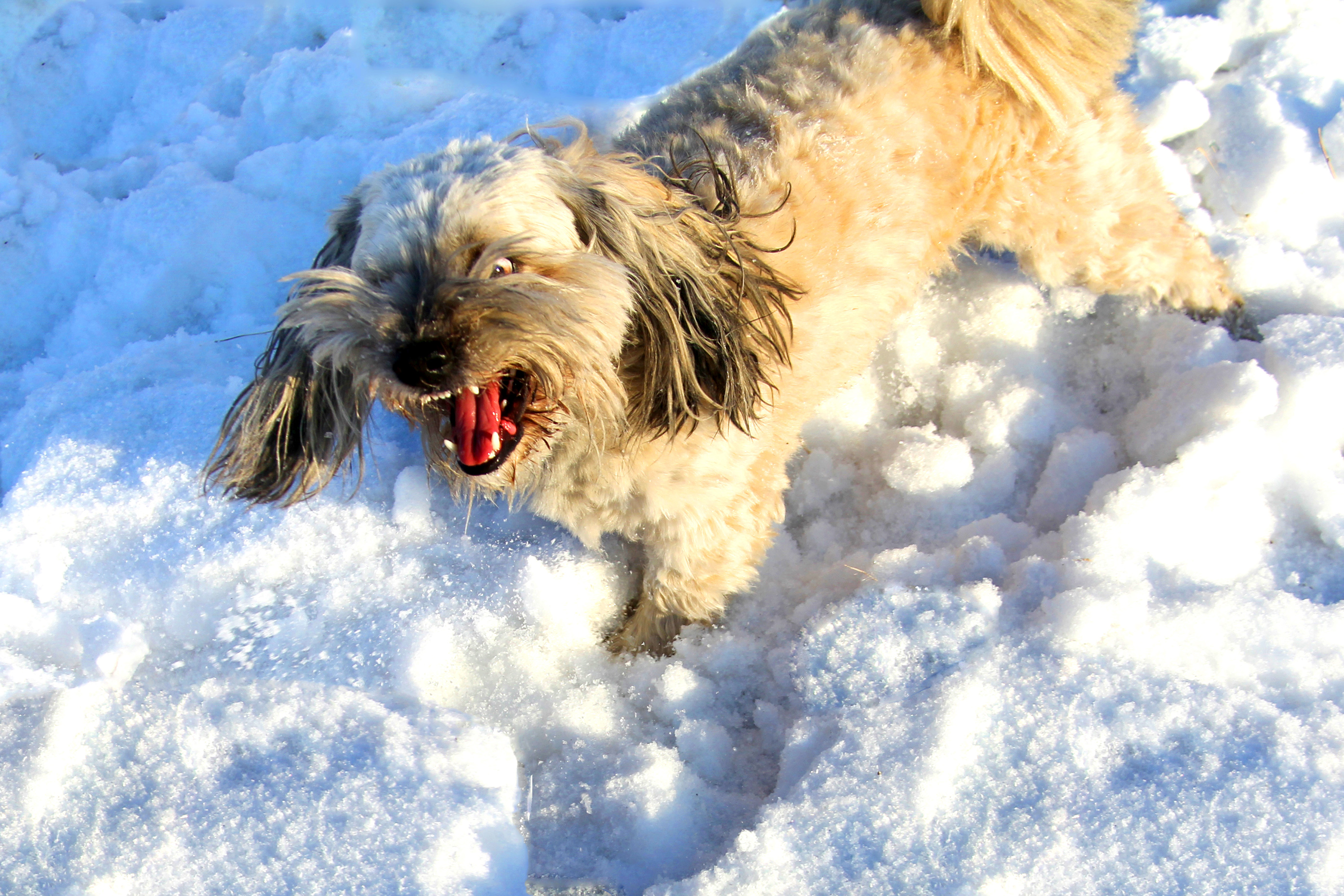 ѩ�����⣨һ��  (03).jpg