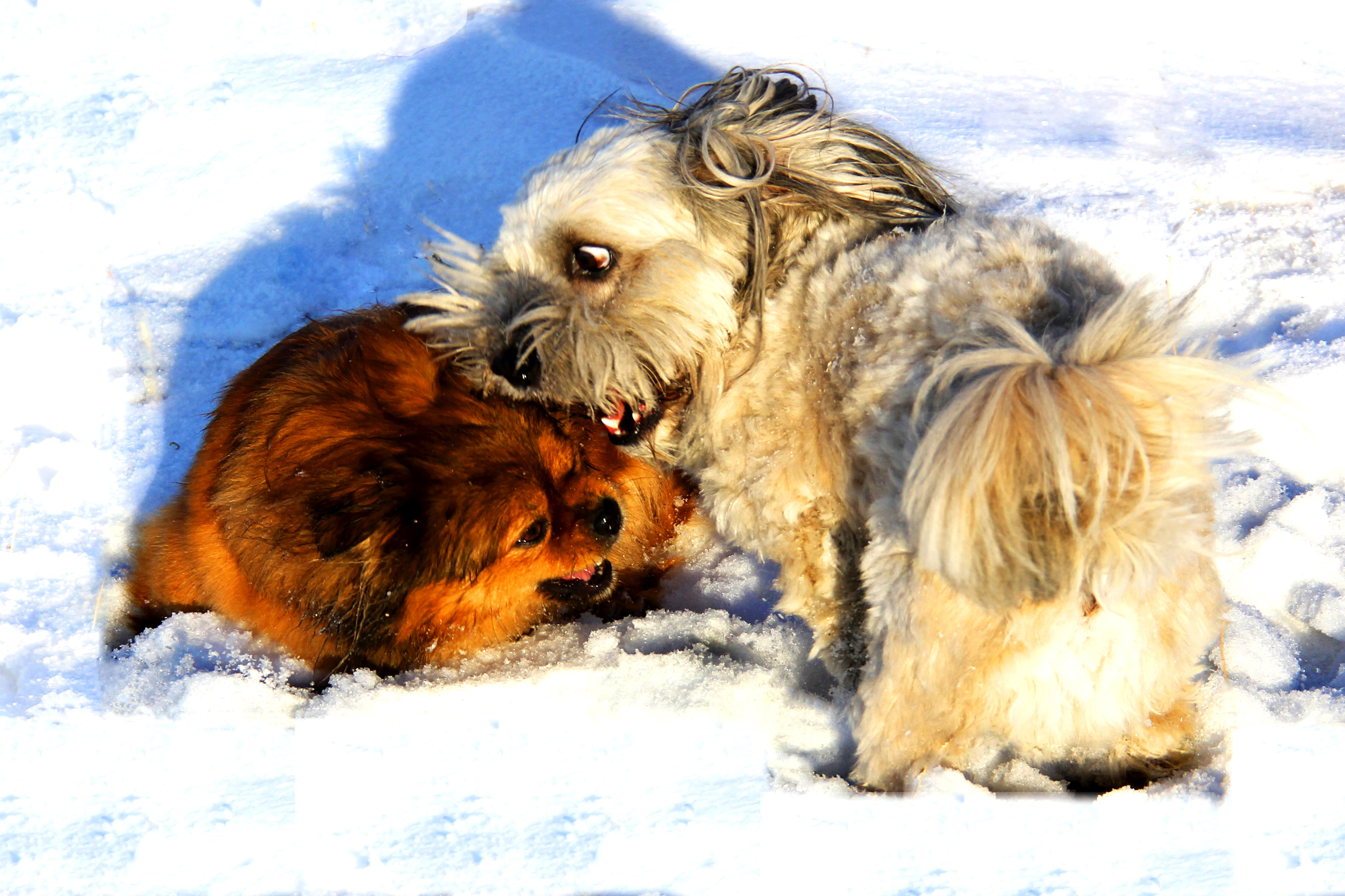 ѩ�����⣨һ��  (04).jpg