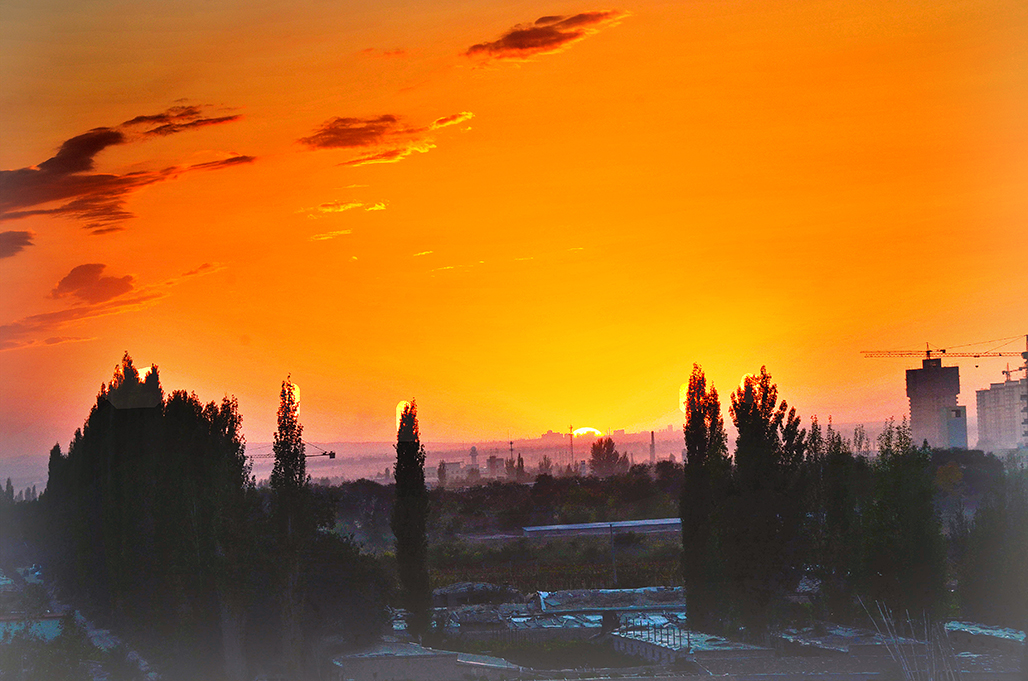 �����ձ���