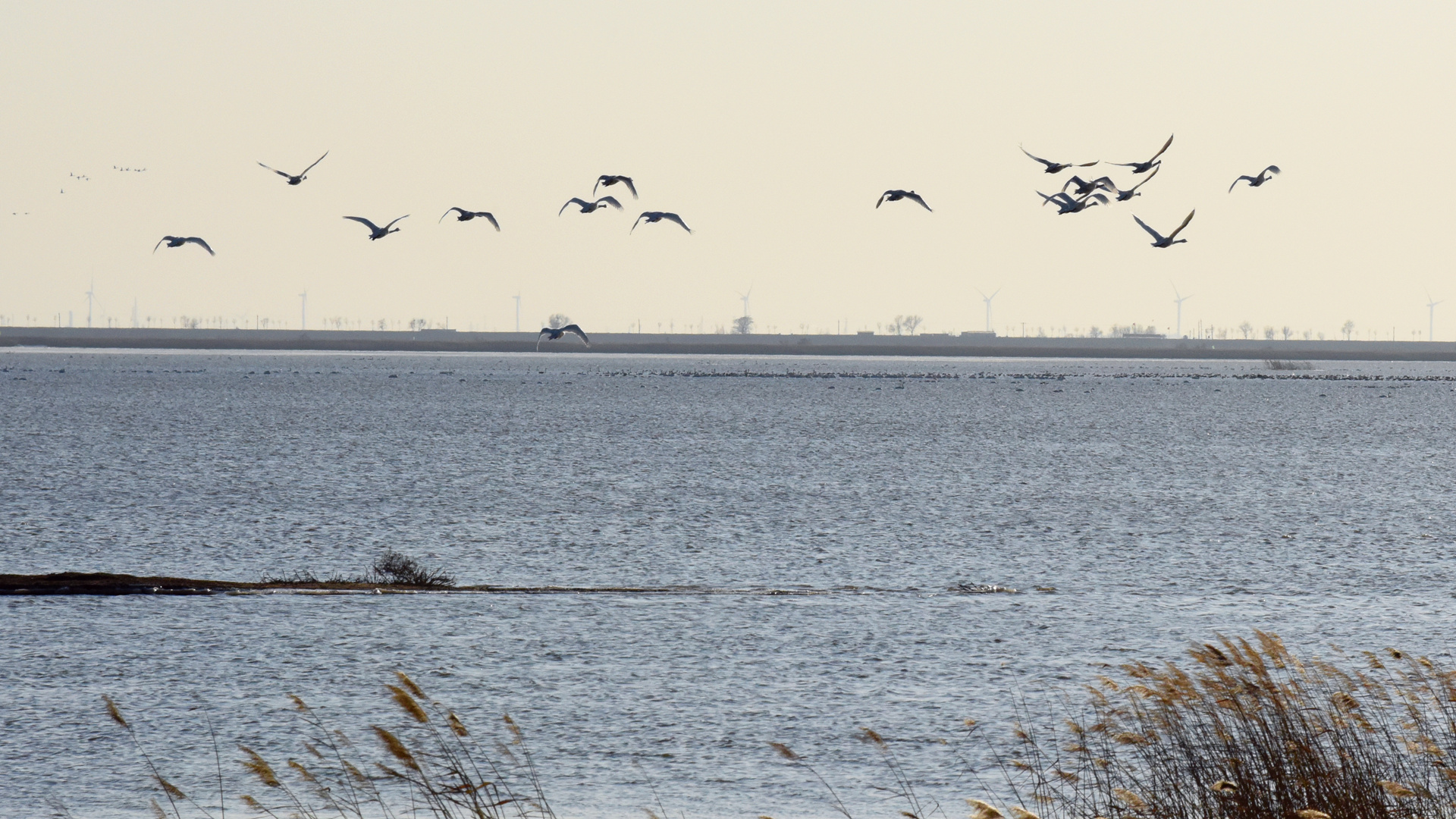 11.30һҹ��磬��쿪ʼ��Ǩ