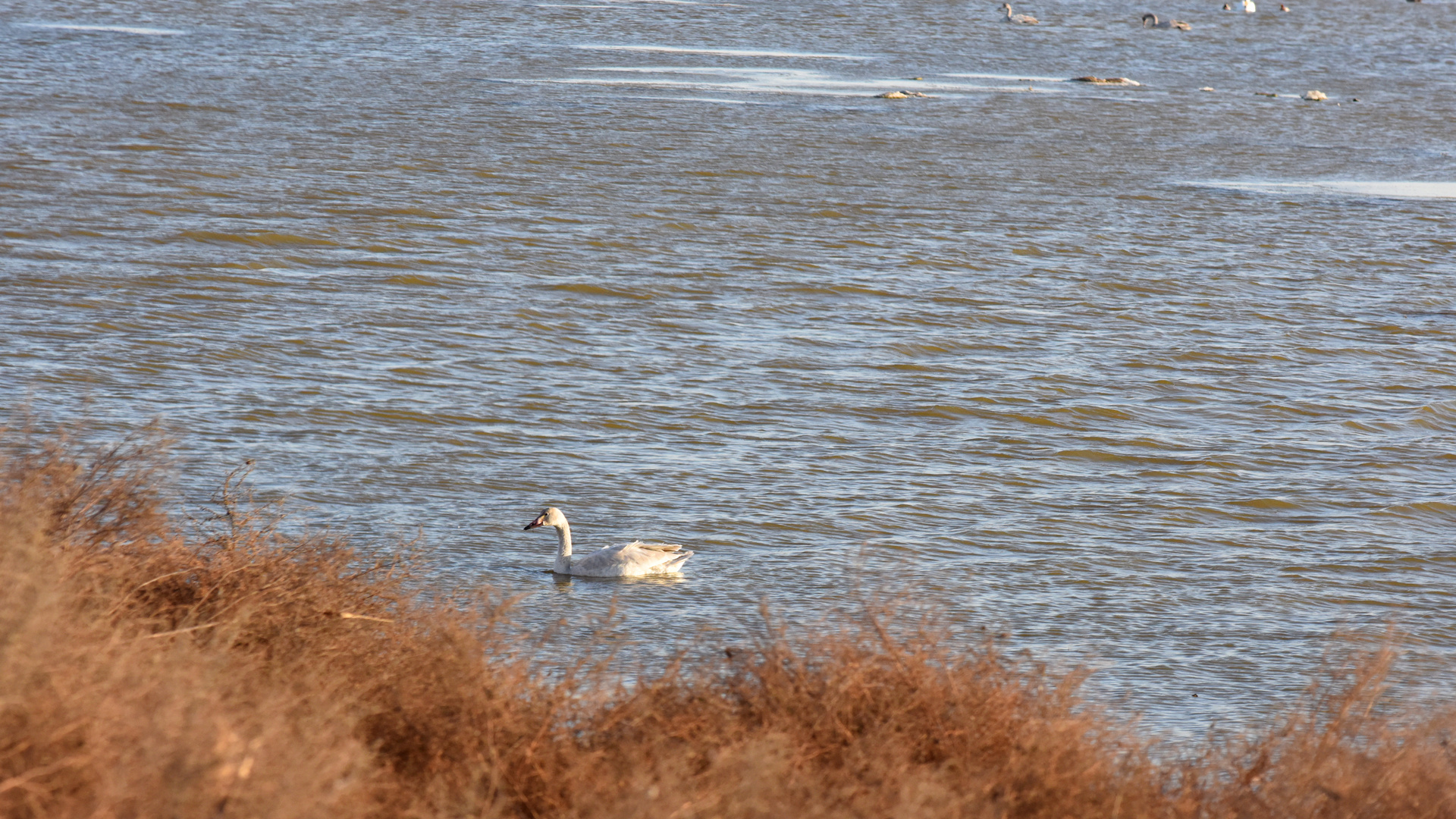 ����ֻ��200���������ĵĽӽ�