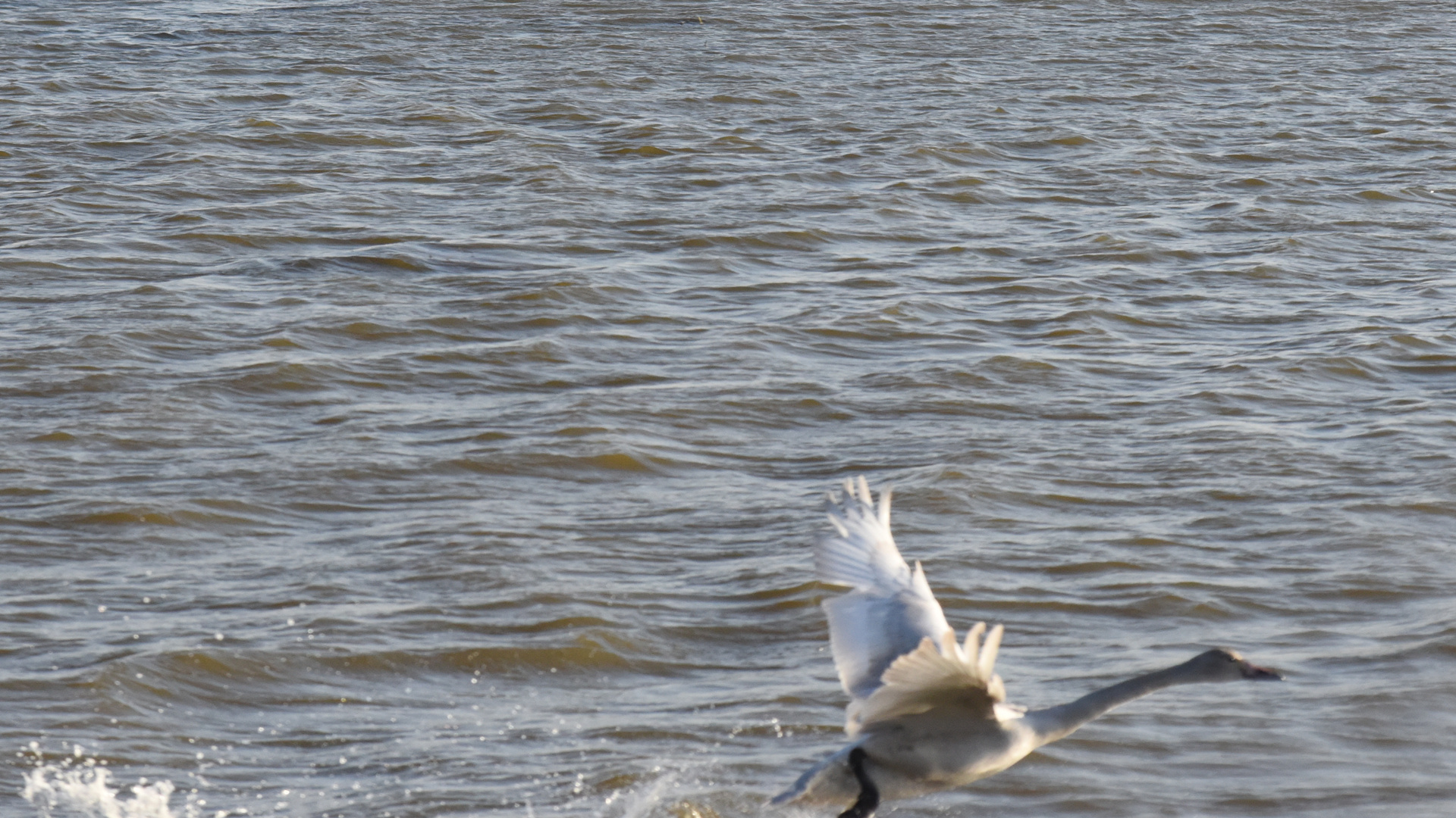 «έ���е���ȸ���Ⱦ���