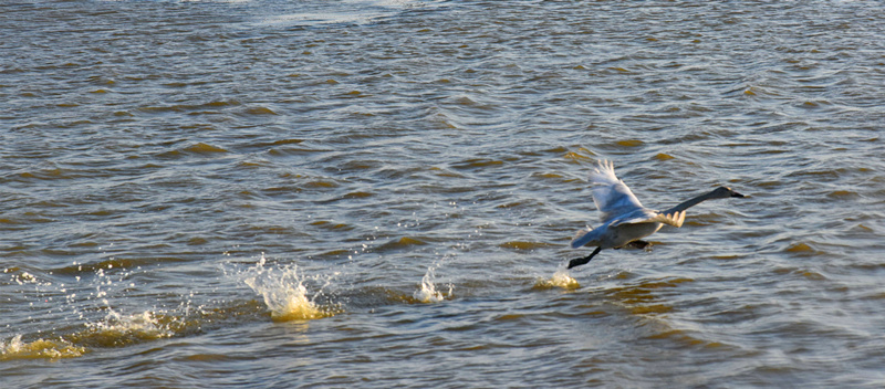 ����ʱ�����