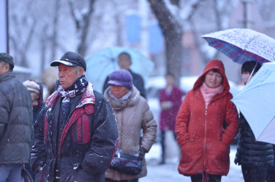 ������ѩ������