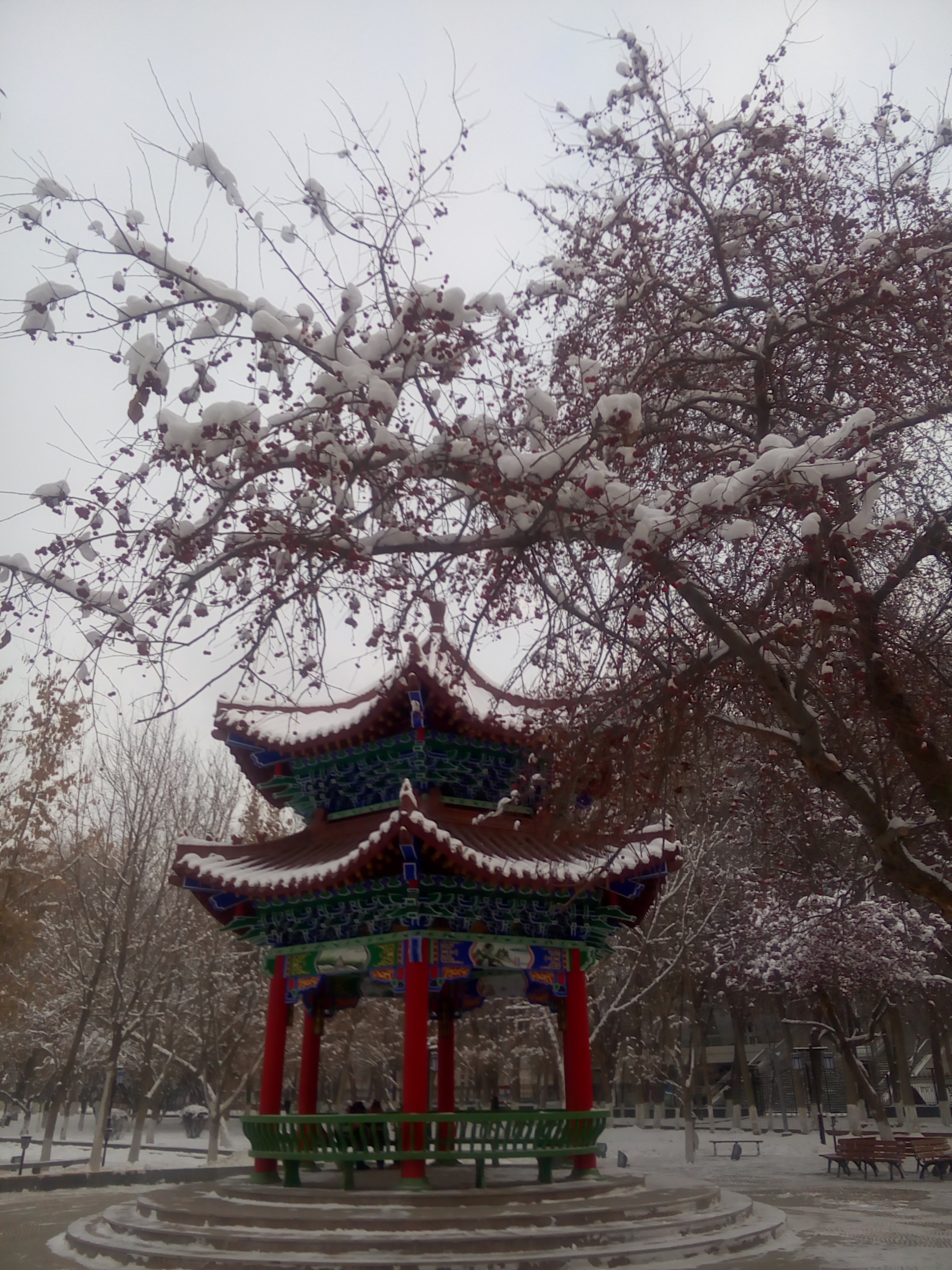 ��ѩ���֮��