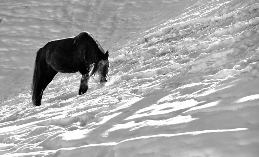 �¶��ĺ�������