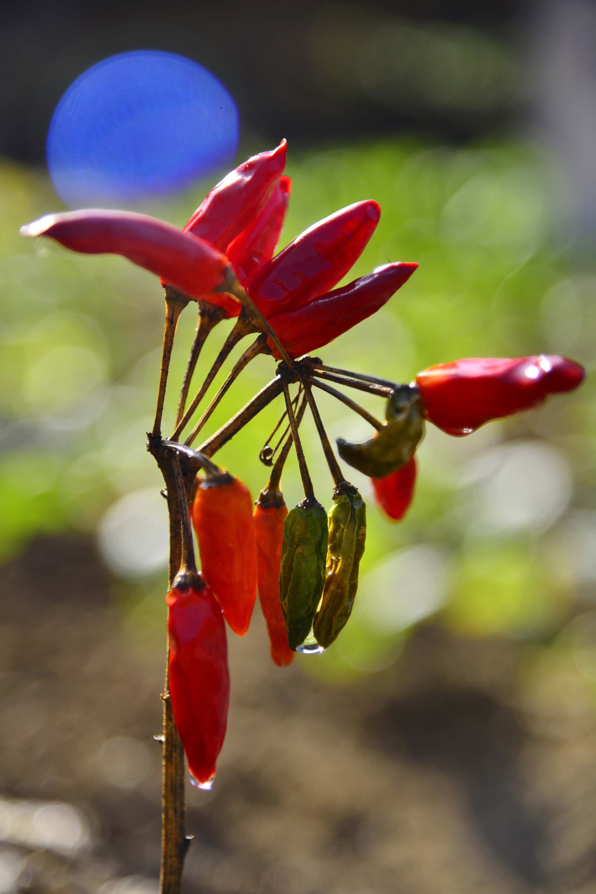 ����ǰ�ķ��-2 .jpg