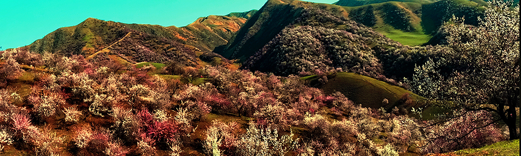 ��ɽ�ӻ�   ������