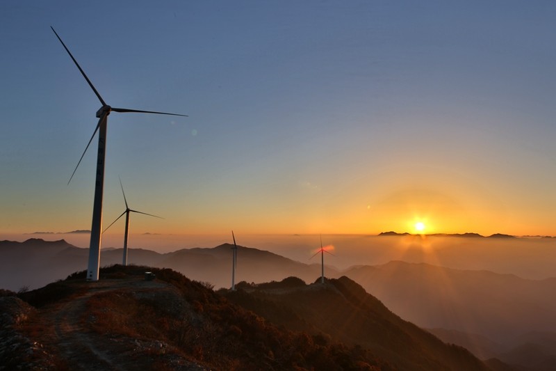 �������ػ�ë��