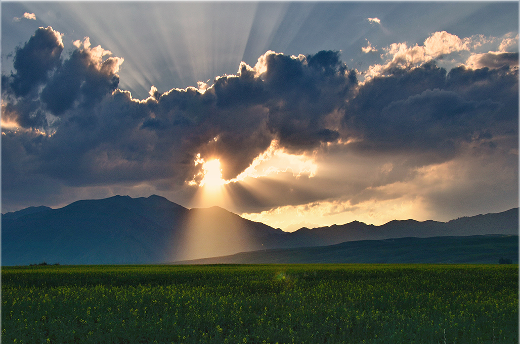 ����    ������