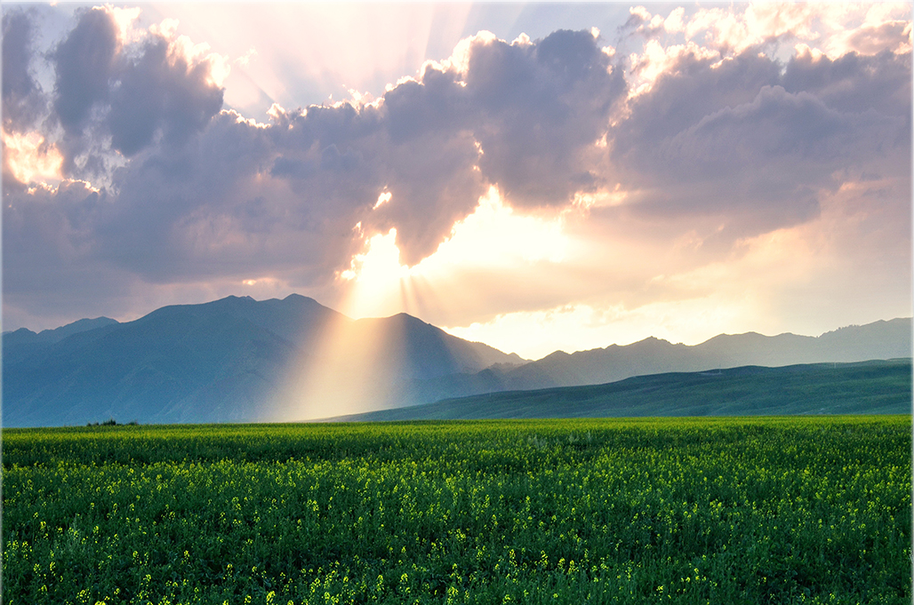 �����Ͳ˻�  ����