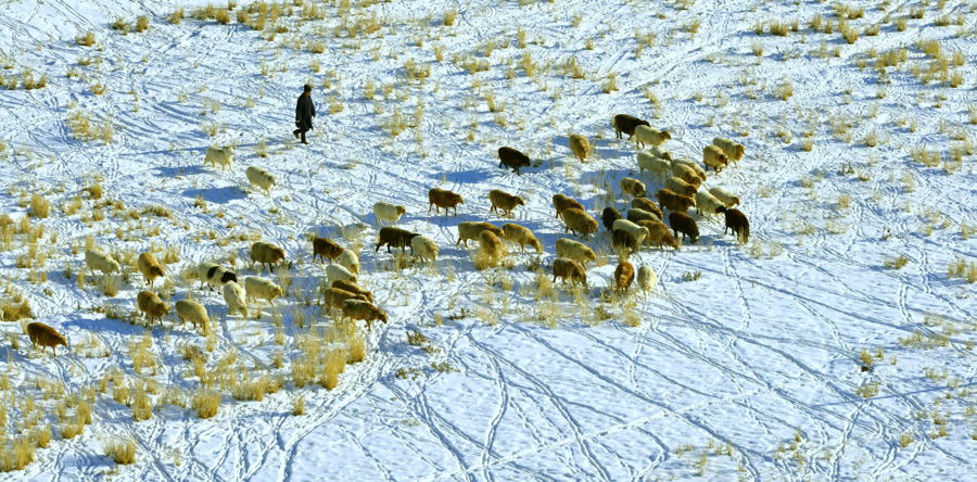 �����Ĳ�ԭůů����