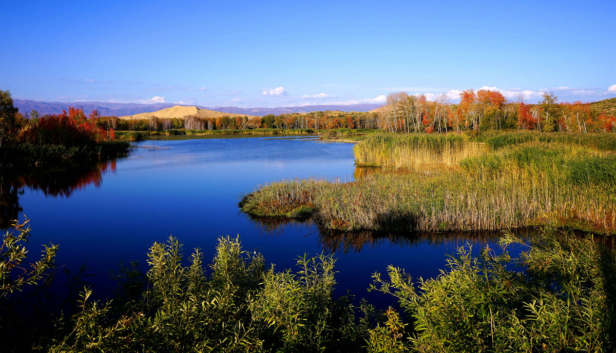 ��ɳ��  ���Ƚ�  (������).jpg