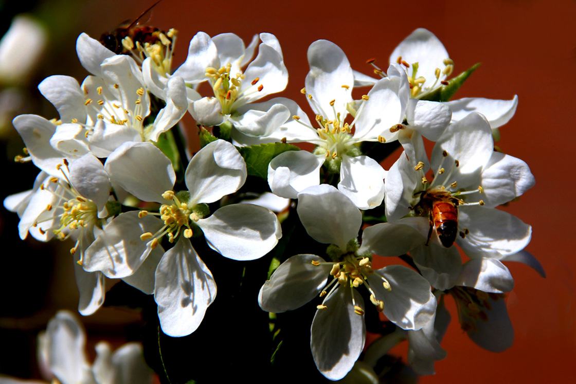 �߳ǻ��һ��  (1).jpg